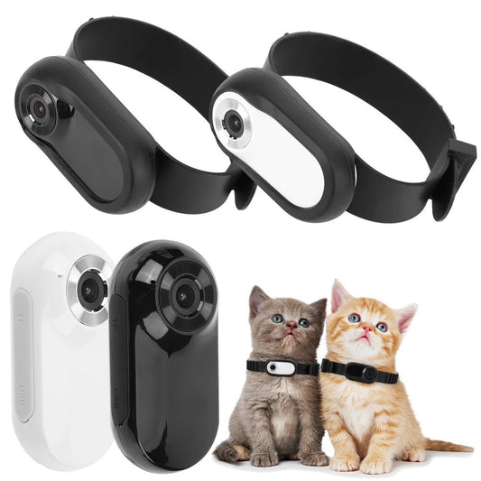 Caméra portative avec clip magnétique pour collier, caméra de sport HD pour animaux de compagnie, enregistreur de cyclisme portable